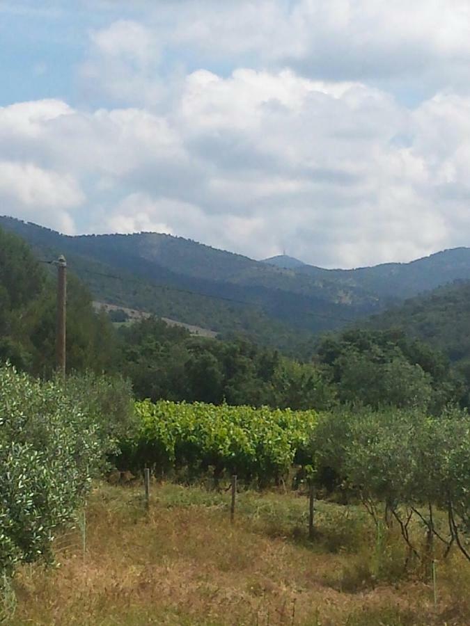 Les Anes De Petit Jean Ξενοδοχείο Pierrefeu-du-Var Εξωτερικό φωτογραφία
