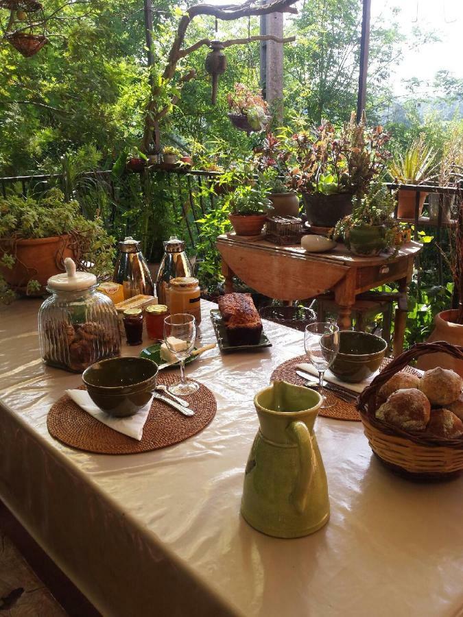 Les Anes De Petit Jean Ξενοδοχείο Pierrefeu-du-Var Εξωτερικό φωτογραφία